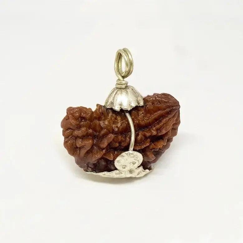 1 Mukhi Indonesian Rudraksha